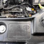 Peugeot Expert ambulância Simples Remoção - Tipo A